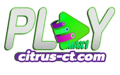 playmax1
